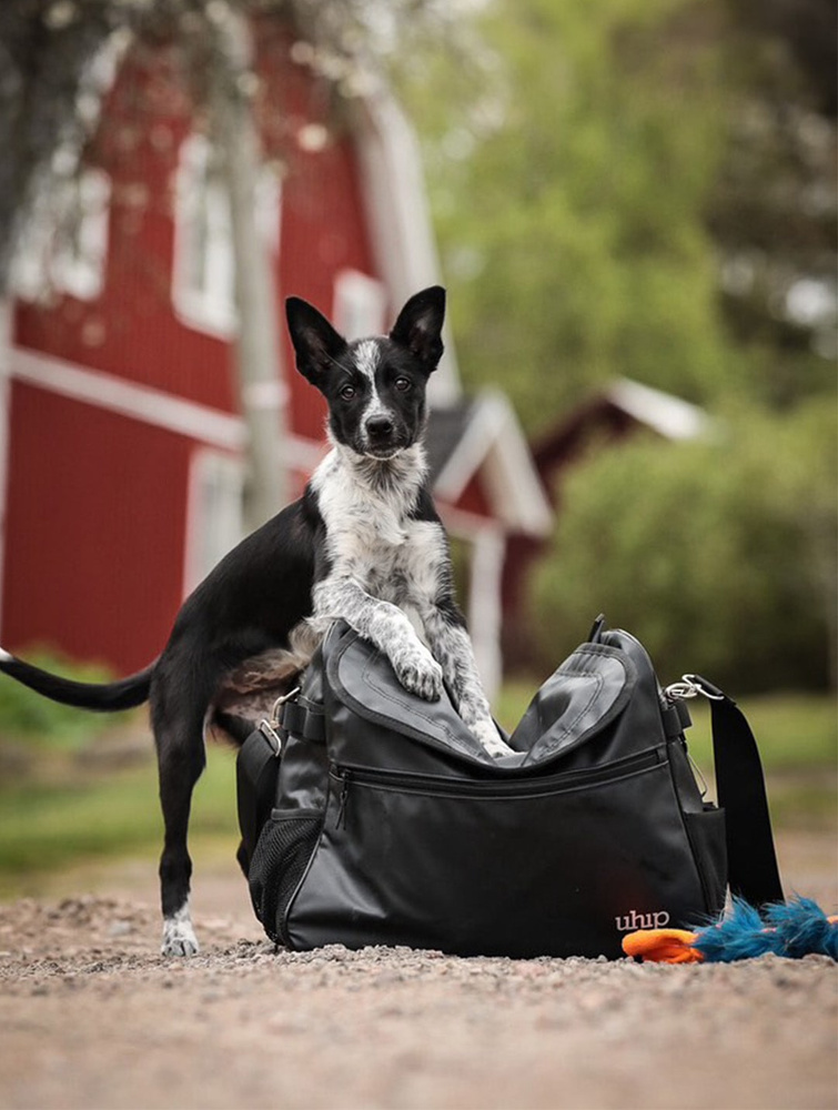 The Uhip Grooming Bag