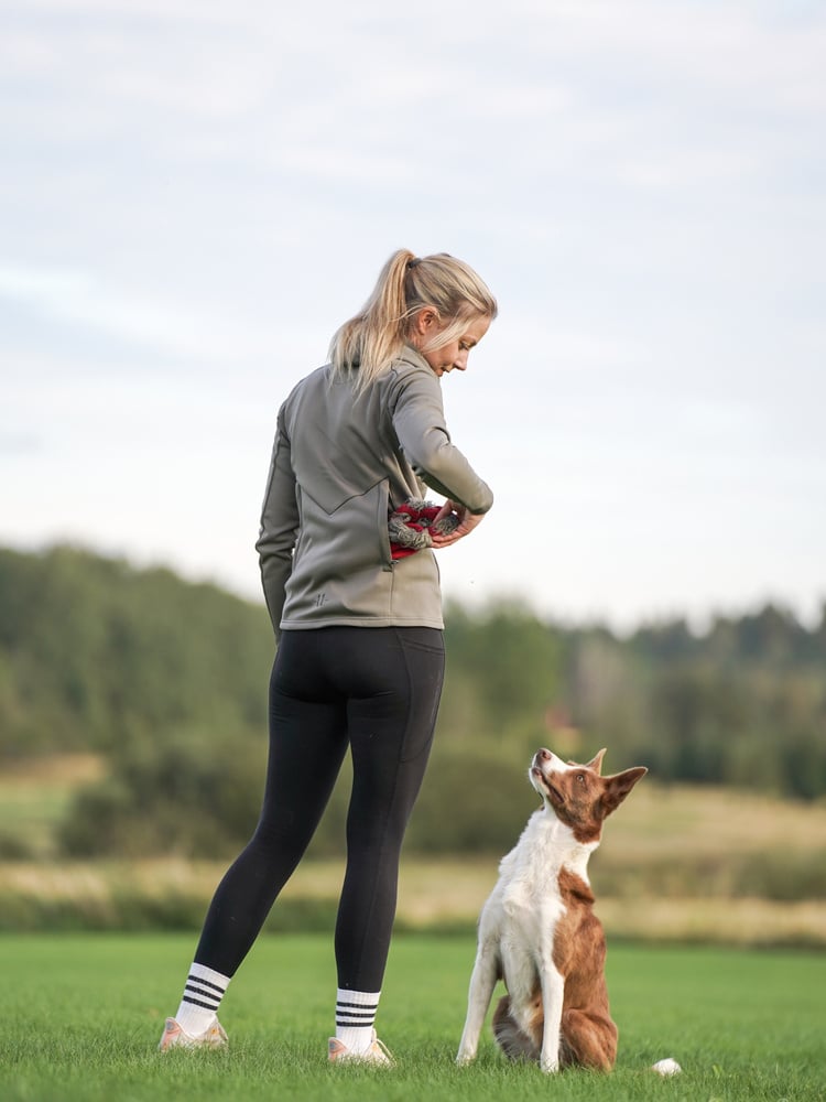 Misty Trainer Hoodie Smokey Olive