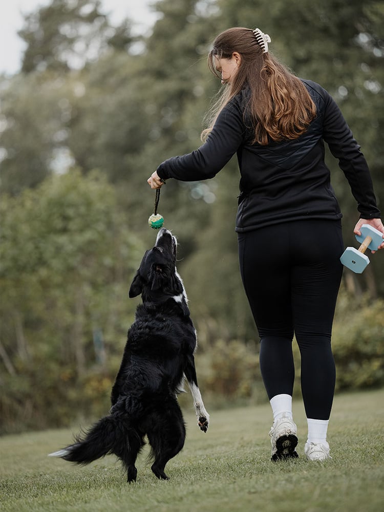 Misty Dog Trainer Hybrid Jacket Jet Black