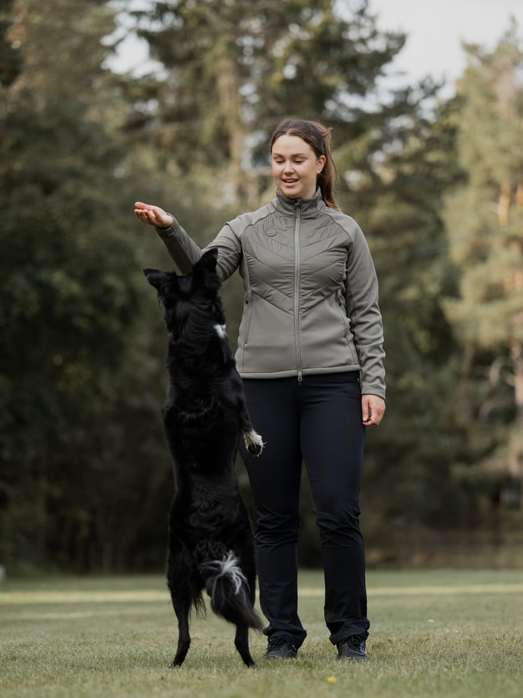 Misty Dog Trainer Hybrid Jacket Smokey Olive