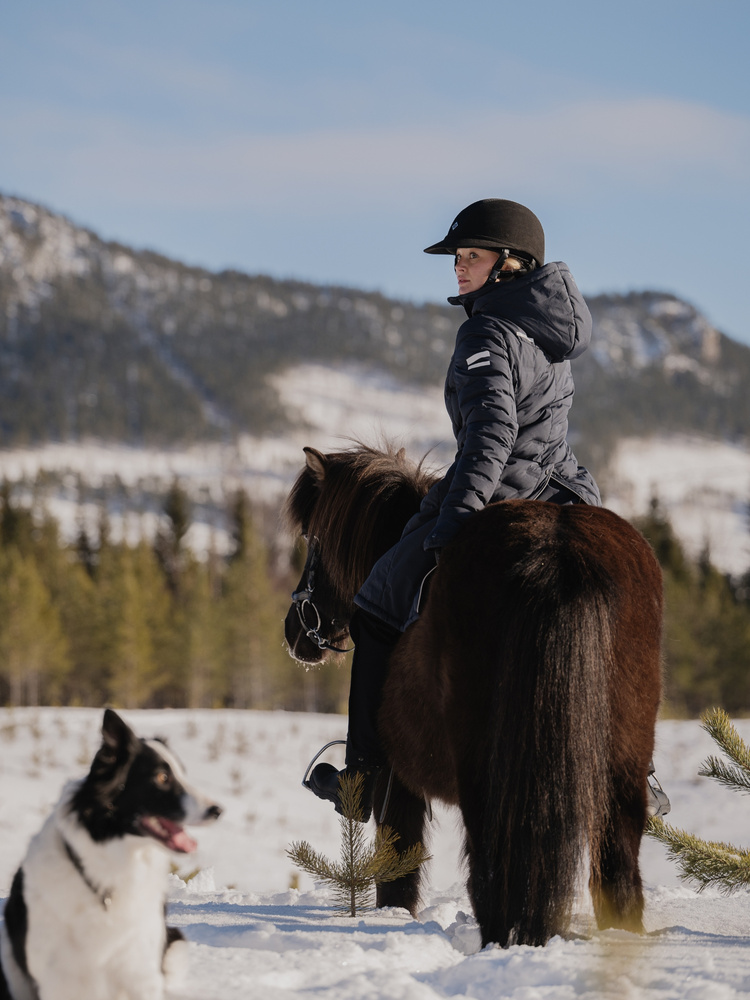 Ice Coat Blue Graphite