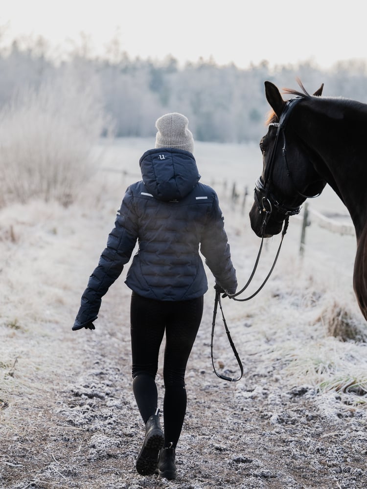 Ice Jacket Blue Graphite 2.0