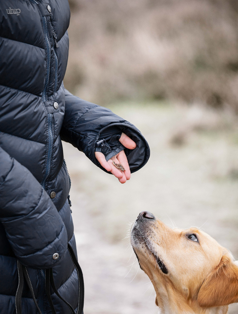 Nordic Coat Eclipse Navy